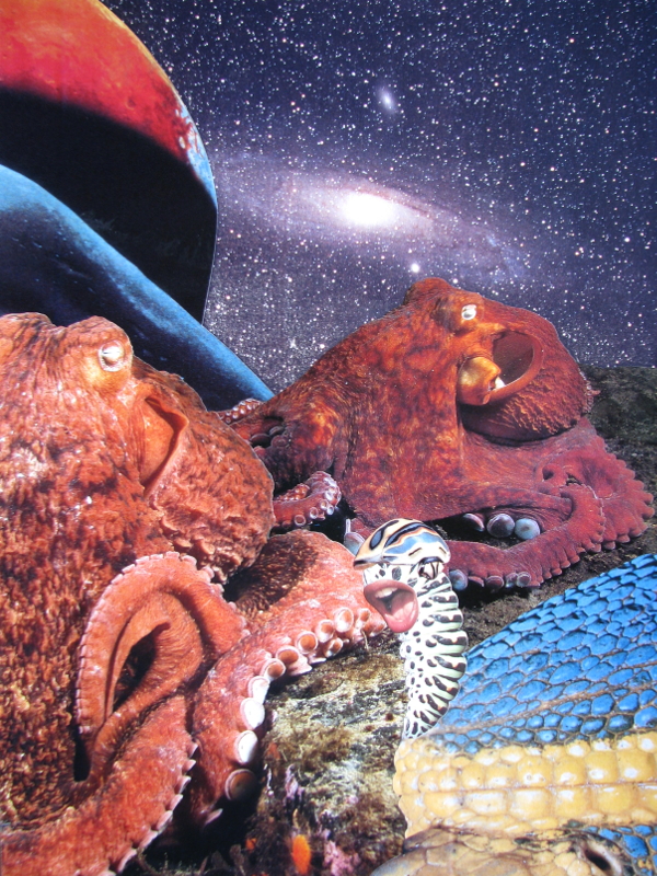 Ein Lied zwo drei vier