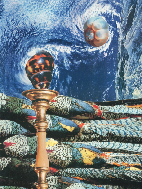 Ein Monument für die Natur